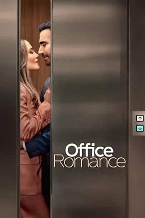 სამსახურეობრივი რომანი | Office Romance