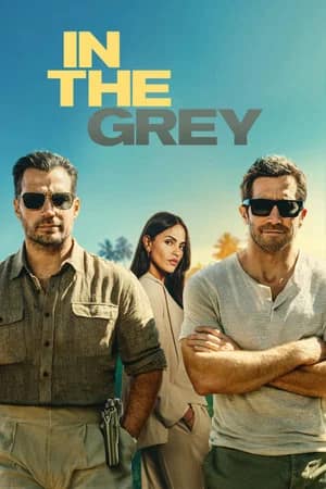 დიდი ძარცვა / რუხში | In the Grey